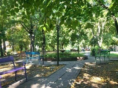 квартира по адресу Евгения Коновальца ул. (Щорса), 37