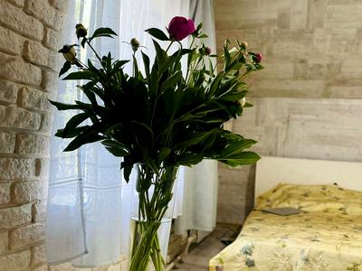 квартира по адресу Болгарская ул., 70