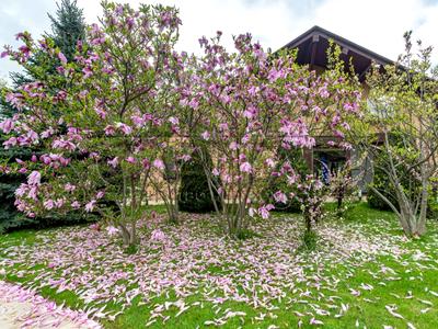 будинок за адресою Завальна вул., 14