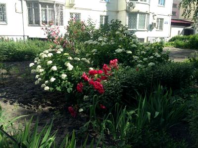 квартира за адресою Генерала Генадія Воробйова вул. (Курська), 13-В