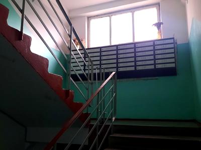 квартира по адресу Миру ул., 14