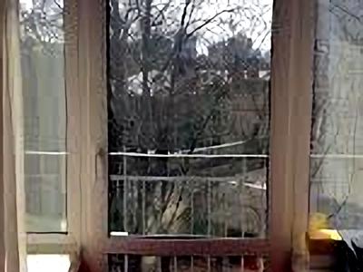 квартира по адресу Чеховский пер., 11