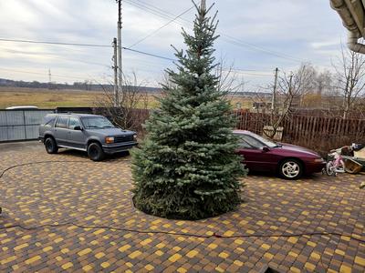 квартира за адресою смт. Гостомель, Ірпінська вул., 25