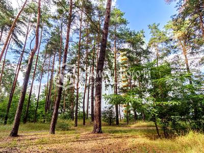 квартира по адресу Миколи Хвильового ул., 3