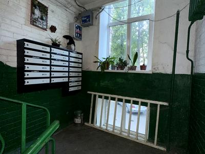 квартира по адресу Салютная ул., 20а