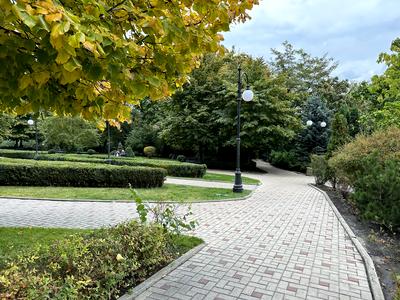 квартира за адресою Андрія Верхогляда вул. (Михайла Драгомирова), 5