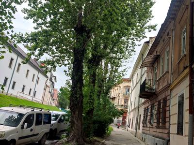 квартира по адресу Богдана Хмельницкого ул., 53