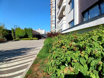 квартира за адресою Левка Лук'яненка вул. (Маршала Тимошенка), 21/19