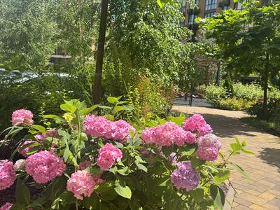 квартира за адресою Мартинова просп., 22