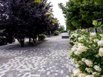 квартира по адресу Балукова ул., 1