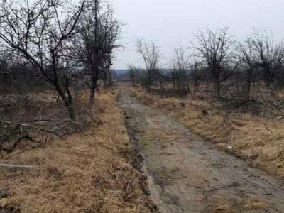 ділянка за адресою Зоряна