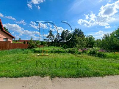 участок по адресу с. Колонщина, Лісова вулиця