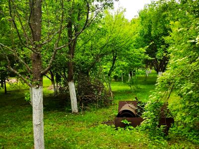 будинок за адресою Зелена, 34