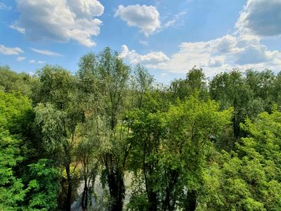 квартира за адресою Євгена Коростельова вул. (Гагаріна), 20