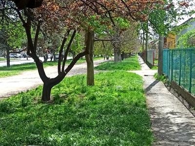дом по адресу Грушевского Николая ул.