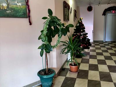 квартира за адресою Київ, Чорногірська вул., 14