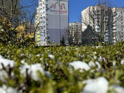 квартира за адресою Теплична вул., 44