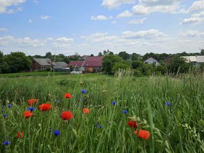 будинок за адресою Січових стрільців, 49