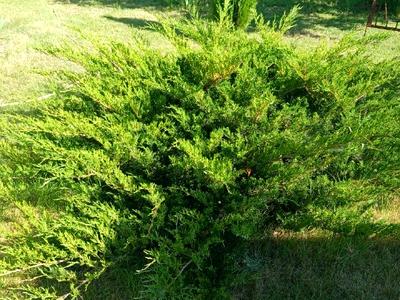 будинок за адресою Озерна
