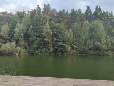 квартира за адресою Лісна, 75