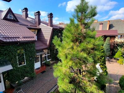 коммерческая по адресу Мира просп., 55