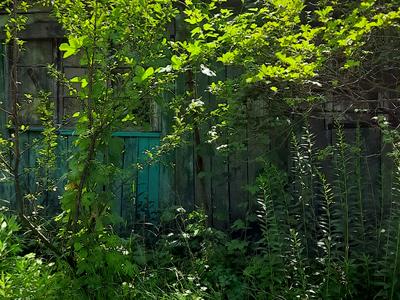 ділянка за адресою 13-та Садова вул.