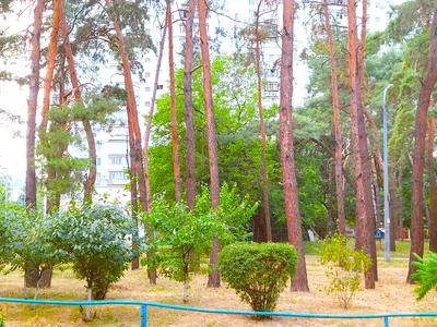 квартира по адресу Дарницкий бульв., 21