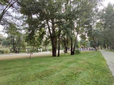 кімната за адресою Червоної Калини просп. (Володимира Маяковського), 1-А