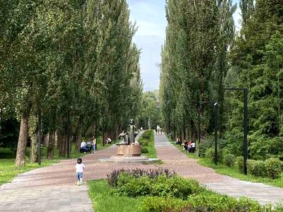 квартира по адресу Елены Телиги ул., 25