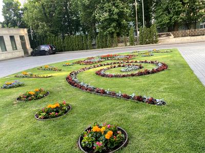 квартира по адресу Івана Мазепи, 11б