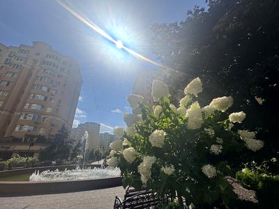 квартира за адресою Братська вул., 24