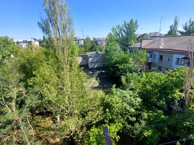 квартира по адресу Большая Морская ул., 5а