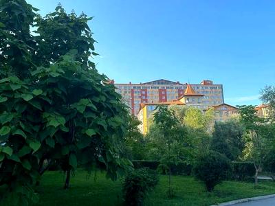 квартира по адресу Новоалександровская ул., 54А