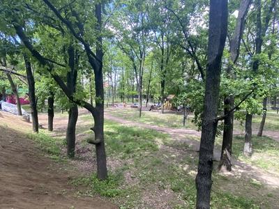 квартира по адресу Садовая ул., 51
