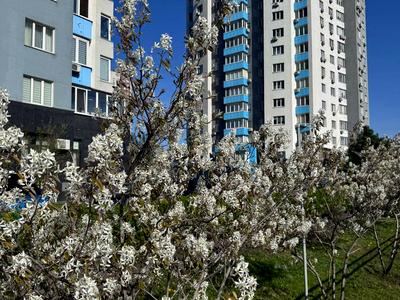 квартира по адресу Оболонский просп., 1