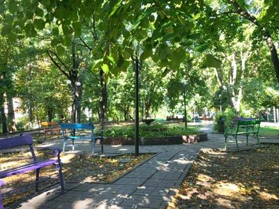 квартира за адресою Євгена Коновальця вул. (Щорса), 37