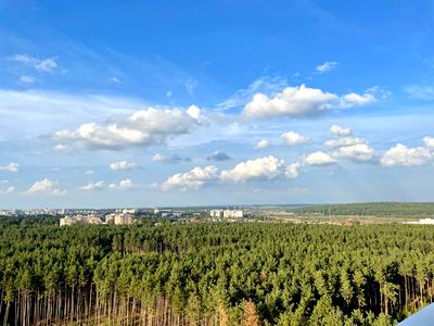 квартира за адресою Університетська вул., 1д