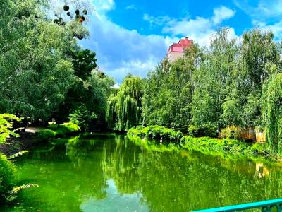 квартира по адресу Вышгородская ул., 45г