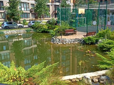 квартира за адресою Мира, 7