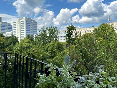 квартира по адресу Вацлава Гавела бульв. (Івана Лепсе), 7