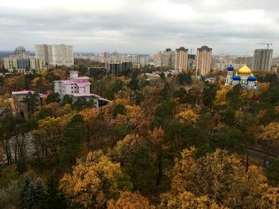 квартира по адресу Ивана Крамского ул., 9