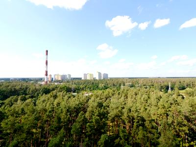 квартира за адресою Олевська вул., 7