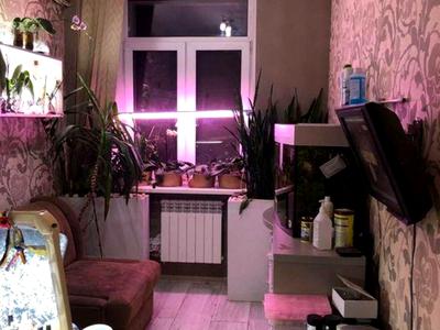 квартира за адресою Вишгородська вул., 50