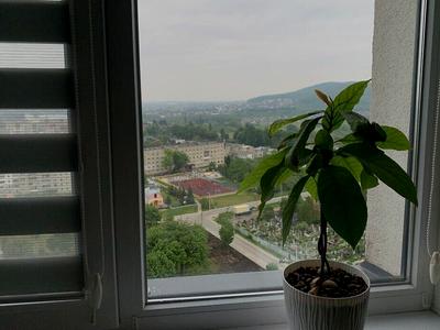 квартира по адресу Беговая ул., 17