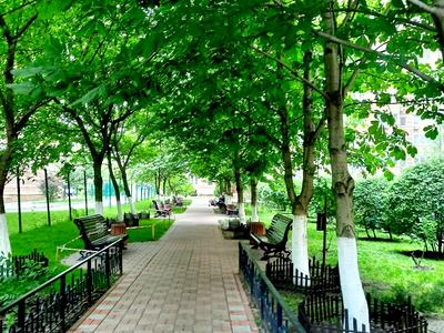 квартира за адресою Голосіївська вул., 13-Б