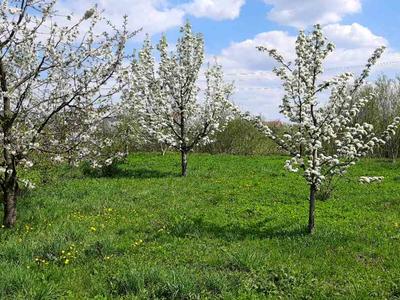 будинок за адресою Бічна Львівська вул.