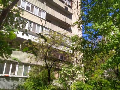 квартира за адресою Київ, Предславинська вул., 14