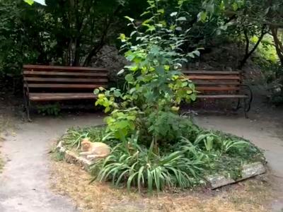 квартира за адресою Лесі Українки бульв., 22