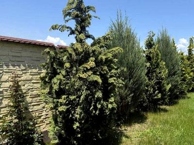 будинок за адресою Придорожня, 8