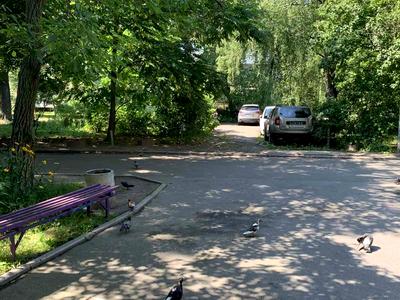 квартира по адресу Зодчих ул., 34